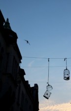 Foto: Malte Legenhausen