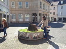 In den vergangenen Monaten wurden zahlreiche Bäume in der Innenstadt (wie hier in der Brotstraße) und am Moselufer aus Sicherheitsgründen gefällt. Foto: Andreas Schmidt